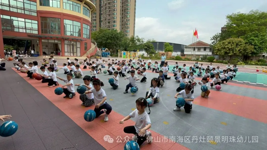 哪里可以找到篮球训练的模范案例_0